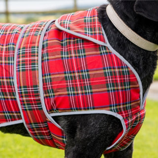 Ancol Highland Tartan Dog Coat