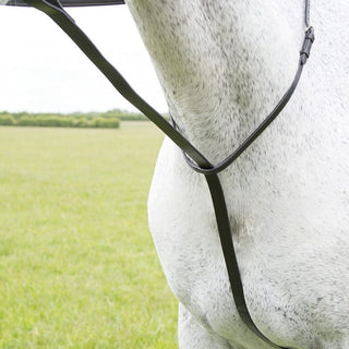 Velociti GARA Standing Martingale