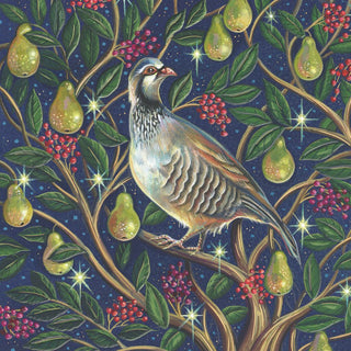 Christmas Premium Boxed Cards Partridge