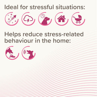 Beaphar CaniComfort Calming Diffuser Starter Kit