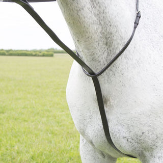 Velociti GARA Standing Martingale