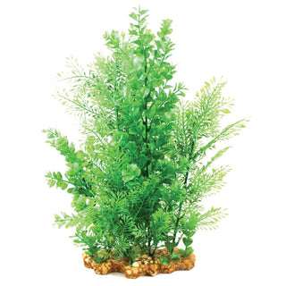 Aqua One Wisteria/Bacopa