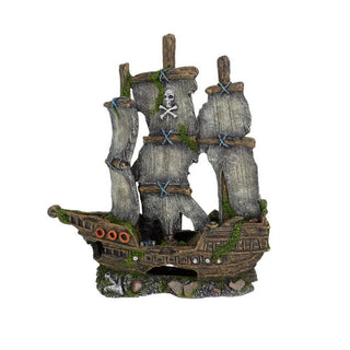 Pirate Sailing Shipwreck