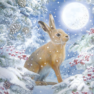 Christmas Premium Boxed Cards Hare