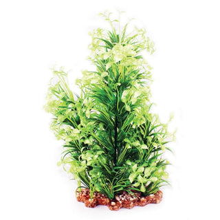 Aqua One Narrow Ludwigia