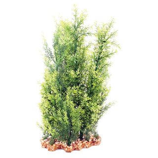 Aqua One Hygrophila/Ludwigia