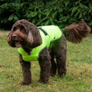 Stormguard Dog Coat
