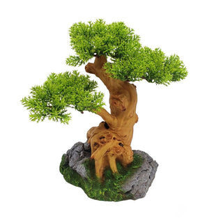Bonsai Tree On Rock