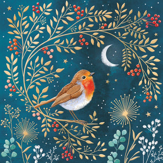 Christmas Premium Boxed Cards Robin