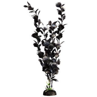Aqua One Black Fan Palm