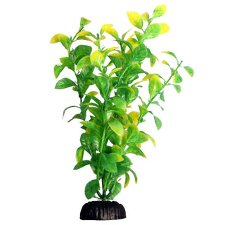 Aqua One Green Hygro