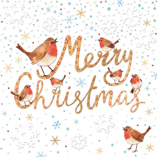 Christmas Boutqiue Boxed Cards Robins