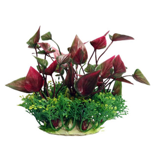 Aqua One Lilly Red