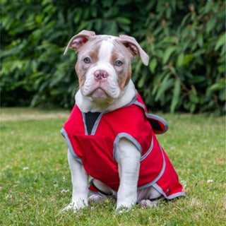 Stormguard Soft Shell Coat