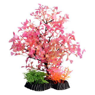 Aqua One Red Fan Palm