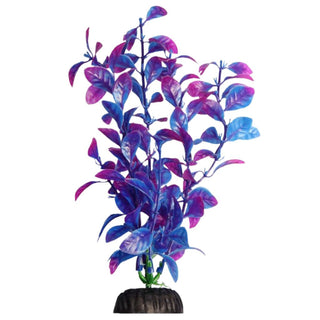 Aqua One Hygro Blue