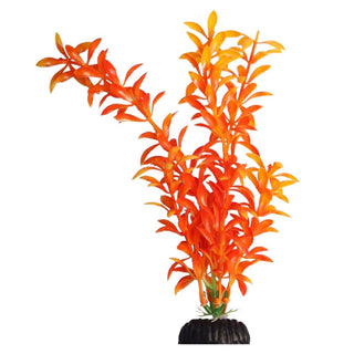 Aqua One Orange Ludwiga