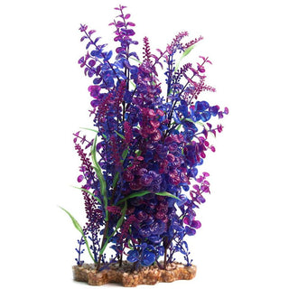 Aqua One Blue Bacopa/Equisetum