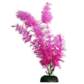 Aqua One Ambulia Pink