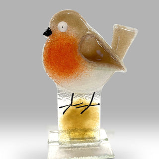 Nobile Robin Bird