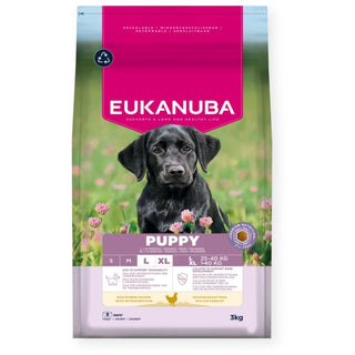 Eukanuba Growing Puppy Large Breed With Chicken