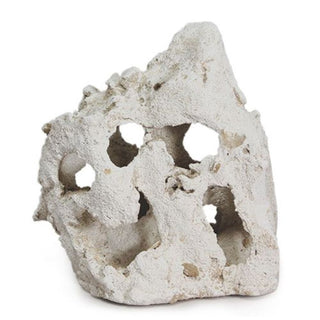 Aqua One Zikler Rock