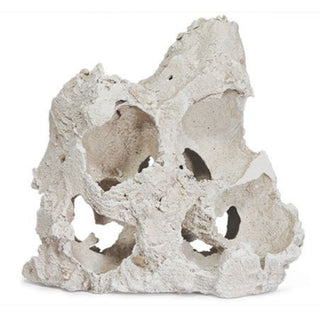 Aqua One Zikler Rock