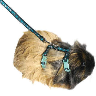 Rosewood Boredom Breaker Gentle Harness & Lead Set