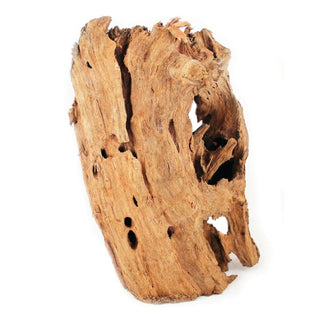 Natural Mangrove Wood