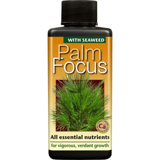 Growth Technology Palm Focus