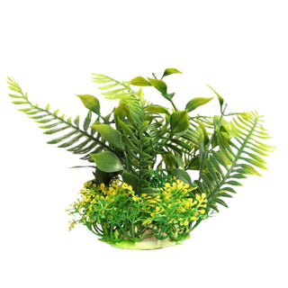 Aqua One Green Fern