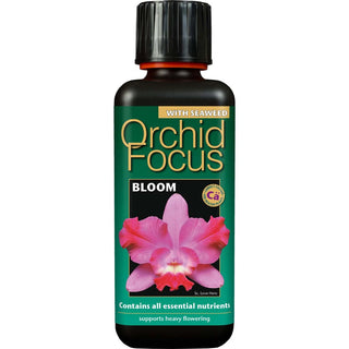 Growth Technology Orchid Focus Bloom