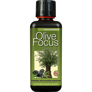 Growth Technology Olive Focus