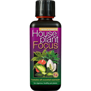 Growth Technology Houseplant Focus