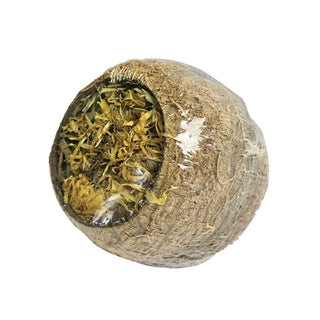 Forage Filled Coconut