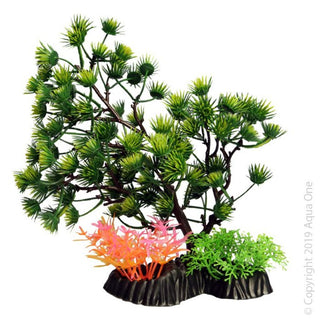 Aqua One Green Umbrella Pine
