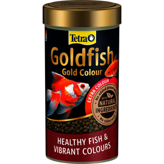 Tetra Goldfish Gold Colour