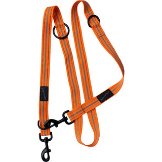 Hem & Boo Sports Training Lead - 2 Dogs