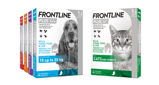 Frontline Plus Flea & Tick Spot On