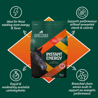 Spillers Instant Energy 3kg