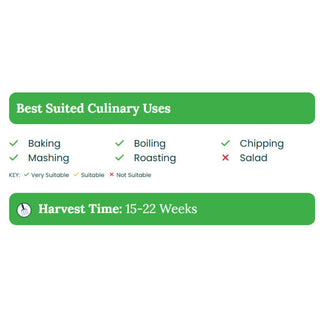 Maris Piper Maincrop Seed Potatoes