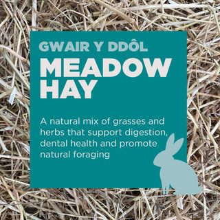 Gower Granary Small Animal Meadow Hay Bagged Large