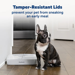 Petsafe 2 Meal Pet Feeder