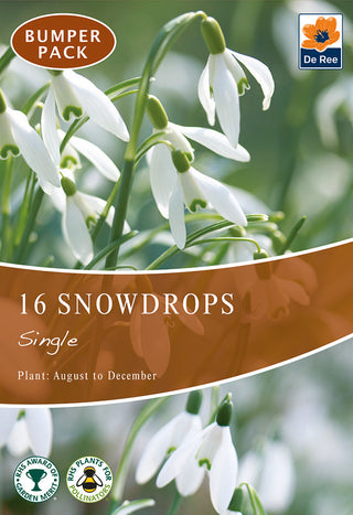 Snowdrops 4/5 16pk