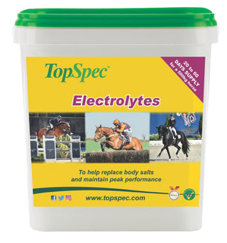 Topspec Electrolytes 1.5kg