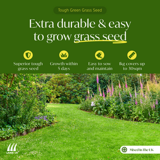 Lawn UK Tough Green Grass Seed Mix 2kg