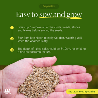 Lawn UK Tough Green Grass Seed Mix 2kg