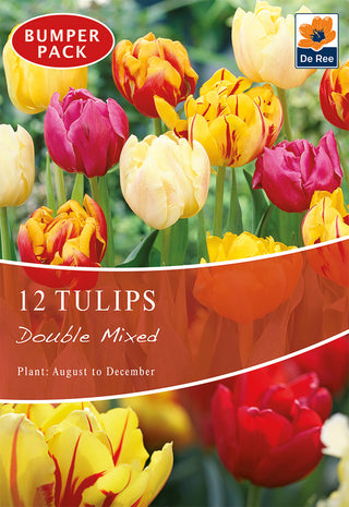 Tulips Double Mixed 10/11 12pk
