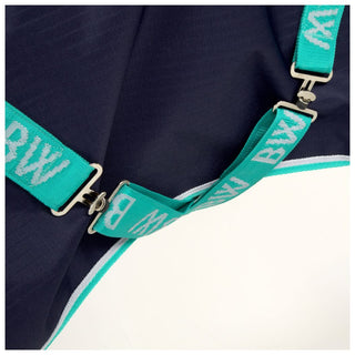 Bridleway Ontario 300g Combo Turnout Rug Navy