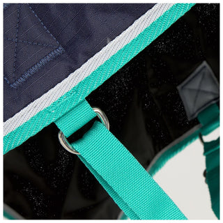 Bridleway Ontario 300g Combo Turnout Rug Navy